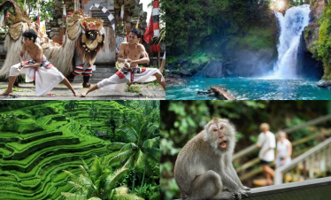 Discover Waterfall Rice Terrace and Monkey Forest
