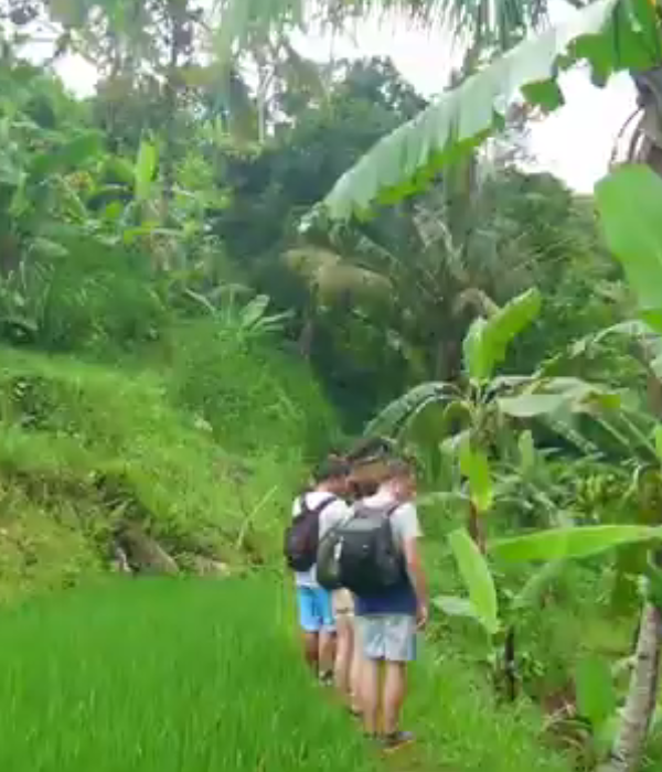 sekumpul waterfall lemukihtout munduk