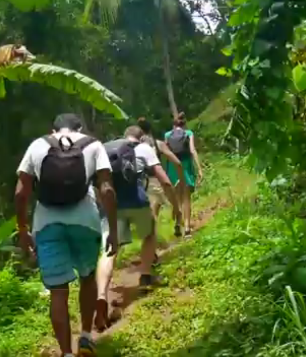 sekumpul waterfall lemukihtout munduk