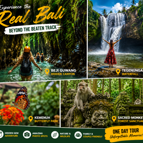 Travelers exploring Beji Guwang Hidden Canyon, Tegenungan Waterfall, Kemenuh Butterfly Park, and Sacred Monkey Forest Sanctuary during a private Bali nature adventure tour.